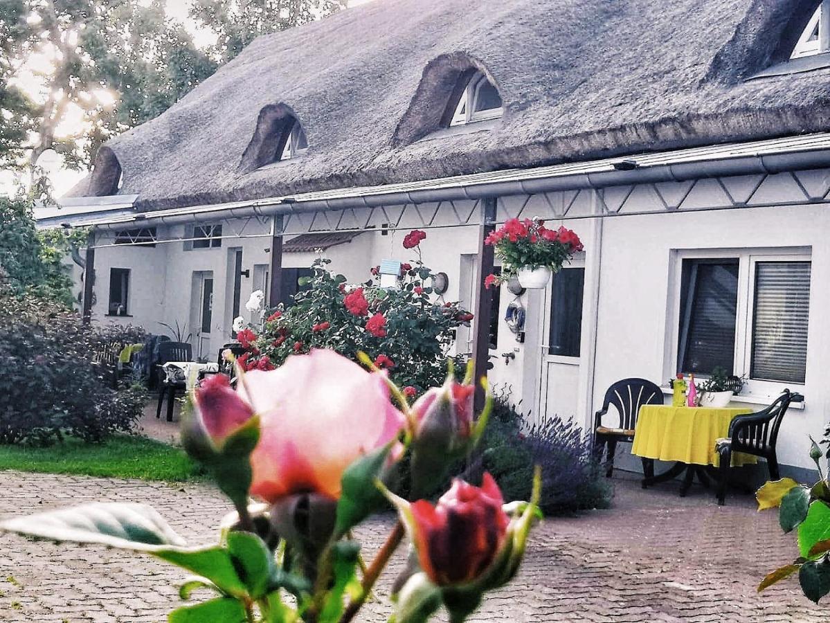 Reet Landhaus Ruegen Ummanz Exteriör bild