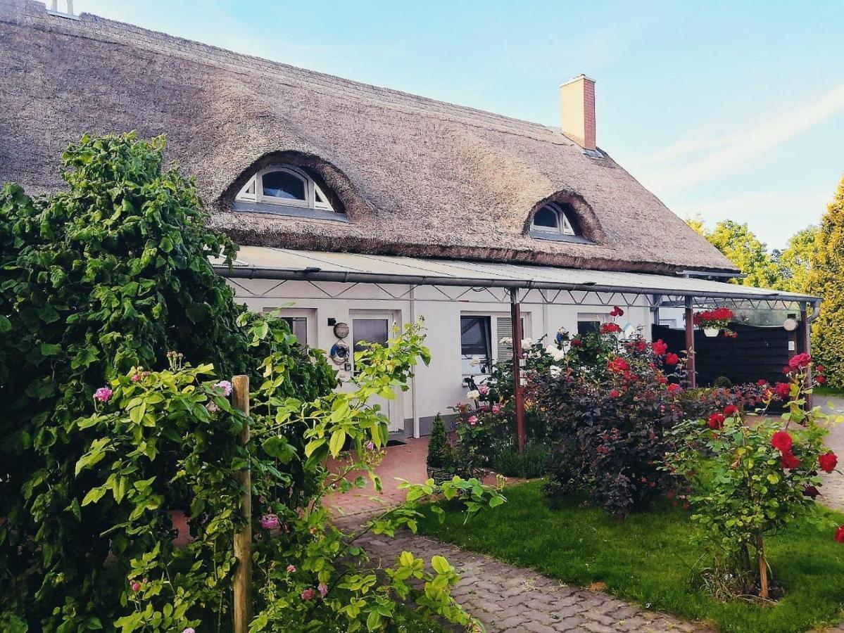 Reet Landhaus Ruegen Ummanz Exteriör bild
